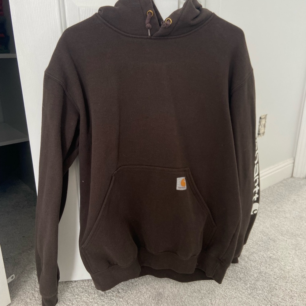Carhartt Men's Dark Brown Hoodie